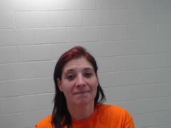 Mugshot of Ladwig, Megan